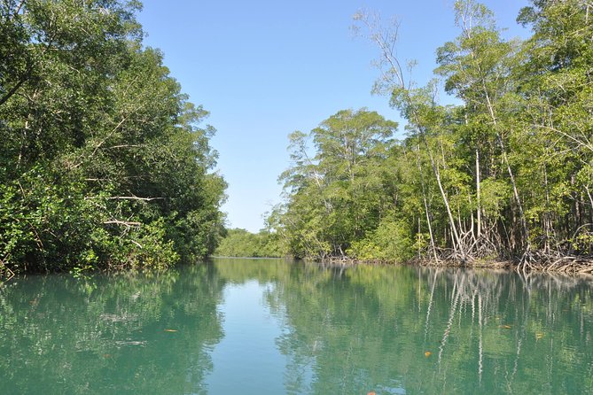 Damas Island by Boat Tour From Manuel Antonio - Health and Fitness Requirements