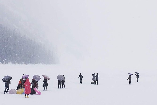 Day Hike in Lake Louise - Reviews and Feedback