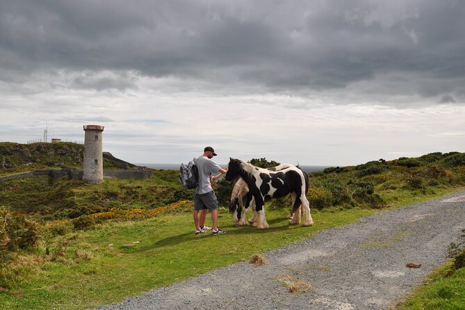 Day Tour From Dublin to Wicklow: Cliffs, Heritage, Wildlife, Gaol - Wildlife Sightings and Conservation