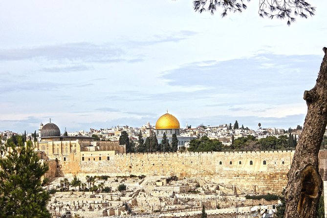 Day Tour of Jerusalem and Bethlehem From Jerusalem - Professional Guide Insights