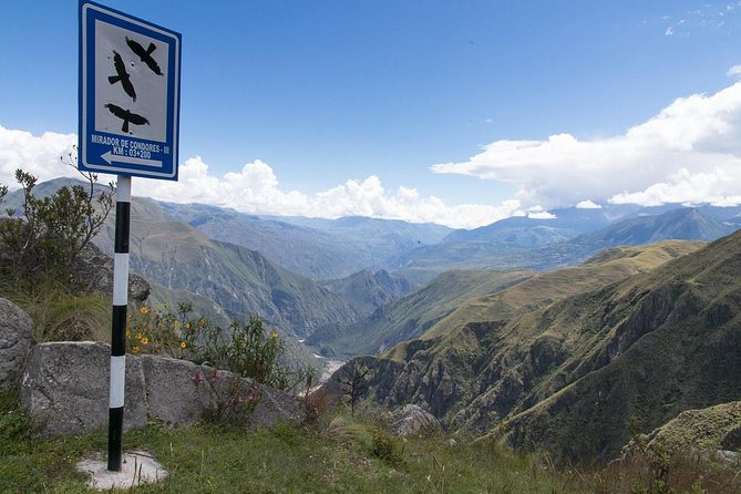 Day Tour to Chonta Canyon -Condors Views - Health Considerations