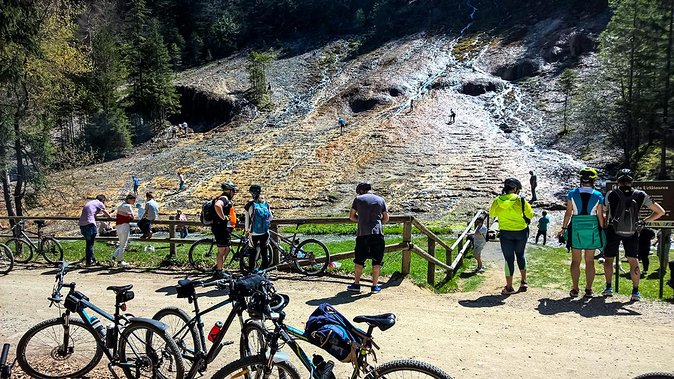 Day Trip From Brasov: Bison Reserve & Traditional Lunch - Tour Highlights