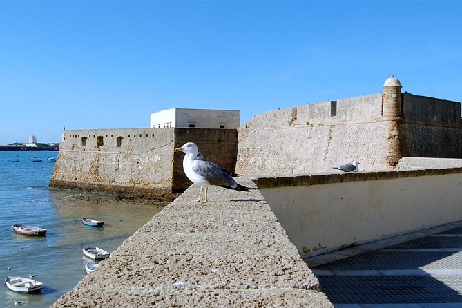 Day Trip From Jerez to Cadiz - Meeting and Pickup Details