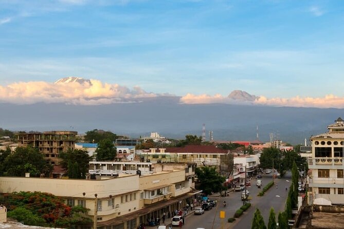Day Trip to Materuni Waterfall, Coffee Tour and Moshi Nightlife - About the Tour Provider