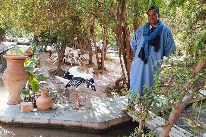 Day Trip to Taroudant and Tiout Oasis With Lunch From Agadir - Lunch Experience