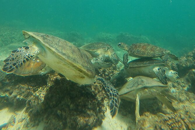 Daymaniyat Islands Snorkeling Adventure From Muscat - Meeting and Pickup Information