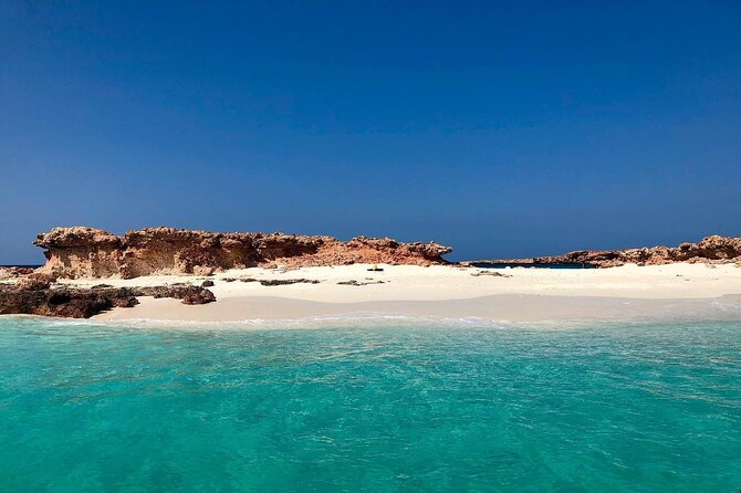 Daymaniyat Islands Snorkeling Half-Day Tour - Pricing and Cancellation