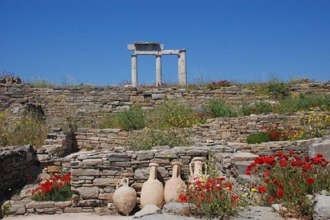Delos Tour From Mykonos - Traveler Tips and Insights