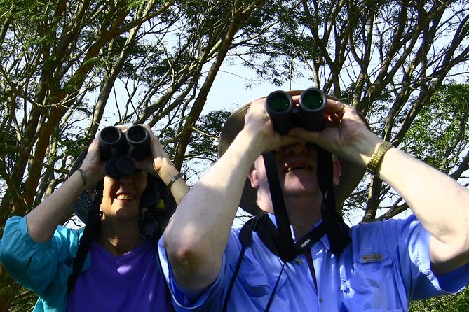 Desembocada and Ameca River Bird Paradise (Wetland and Tropical Birds in Pv) - Participant Feedback and Recommendations