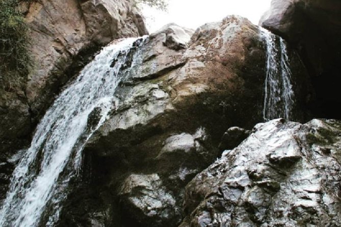 Desert Agafay and Atlas Mountains & Camel Ride Day Trip From Marrakech - Reviews and Ratings