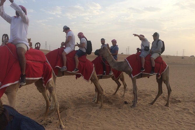 Desert Camel Ride With Live Shows & BBQ Buffet Dinner - Optional Adventure Activities