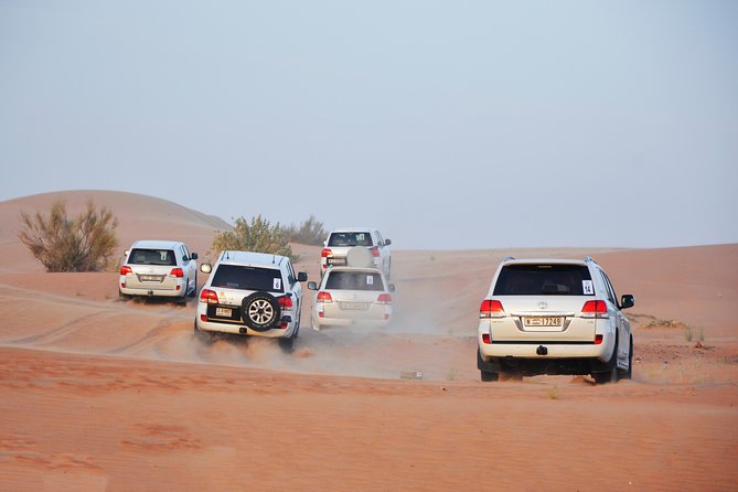 Desert Safari Drive With BBQ Dinner at DDCR Camp - Health and Safety Considerations