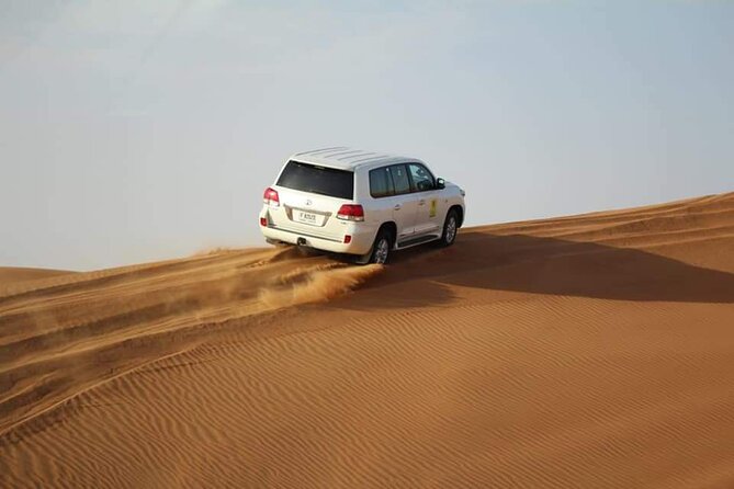 Desert Safari With Dune Bashing, Camel Ride & BBQ Dinner - Additional Activities and Costs