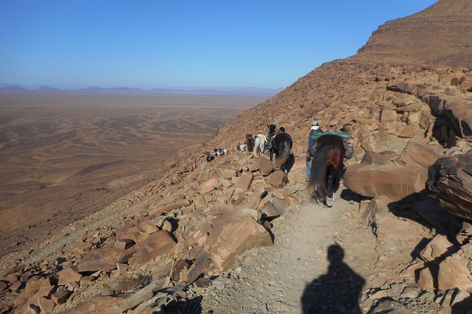 Desert Trail in Morocco on Horseback - Pricing Information