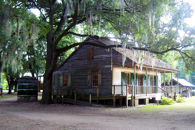 Destrehan Plantation and Large Airboat Tour From New Orleans - Airboat and Guided Exploration