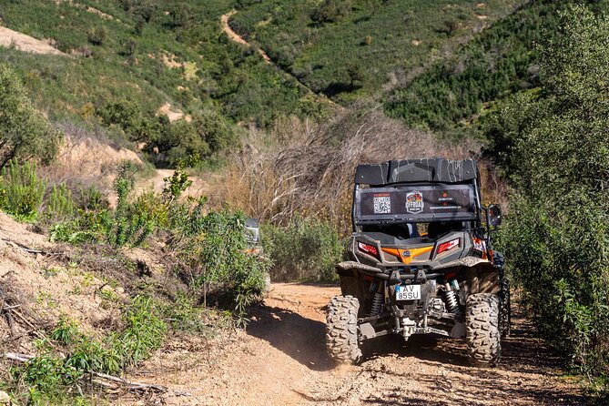 Dirt & Dust Paradise Buggy Day Tour at Silves Portugal - Booking Your Adventure