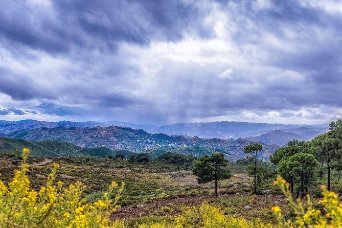 Discover Chefchaouen - Planning Your Chefchaouen Experience