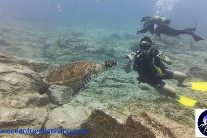 Discover Scuba Diving, Free Pictures Included - Exploring Volcanic Formations and Marine Life