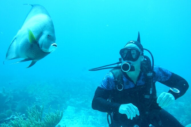 Discover Scuba - Customer Testimonials