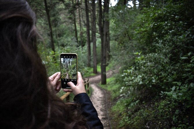 Discover the Lake Agnes Tea House Trail With a Guided Audio Hike - Accessibility and Requirements