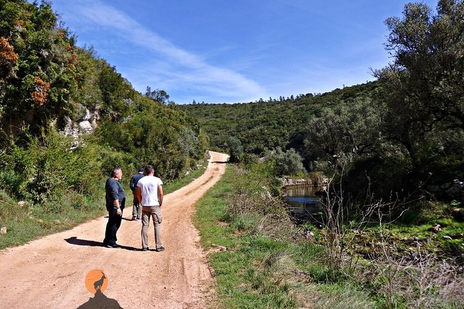 Discovering the Roman Ruins of Conímbriga and the Caves of Sicó - Convenient Pickup and Transportation