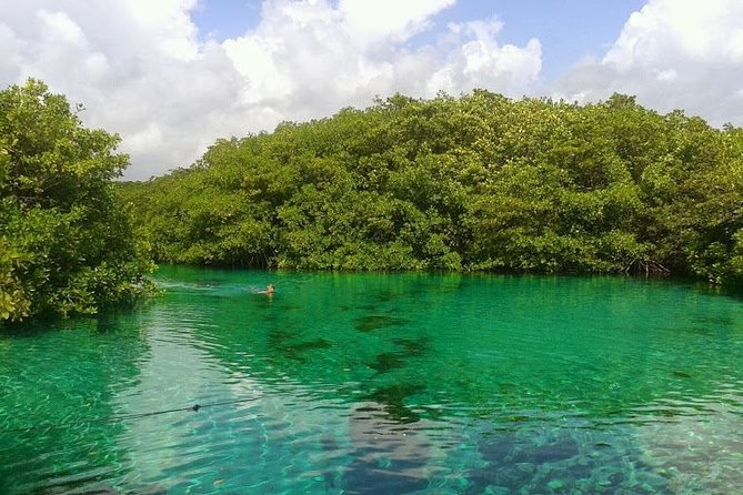 Discovery Scuba Diving - Traveler Experiences