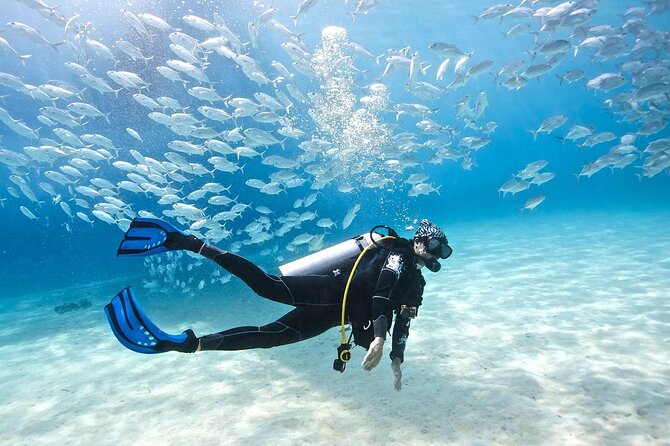 Diving Full Day 2 Stops Boat Trip For Beginners With Lunch and Transfer–Hurghada - Safety and Accessibility Information