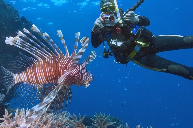 Diving or Snorkeling Boat Tour With Lunch and Drinks - Hurghada - Frequently Asked Questions