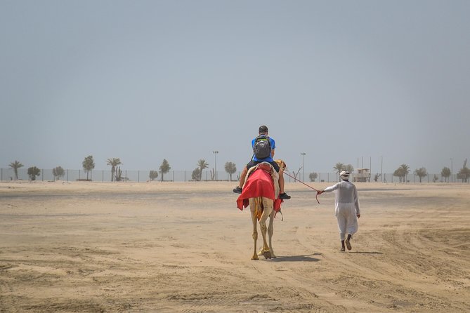 Doha: Safari, Dune Bashing, Camel Ride, Sandboarding & Inland Sea - Sandboarding Down the Slopes