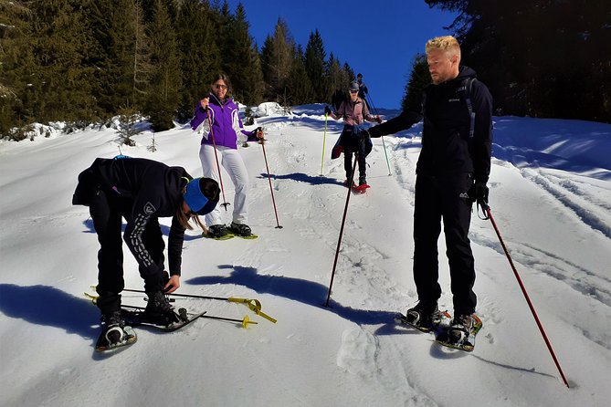 Dolomites Snowshoes Experience - Participation Guidelines