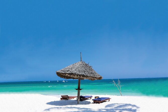 Dolphin Tour; Kuza Cave Tour; Paje Beach; The Rock Restaurant; Jozani Forest - Relaxing at Paje Beach