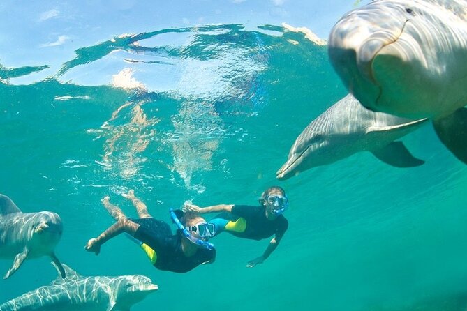 Dolphin Watching and Snorkeling Activity in Muscat - Pricing and Cancellation Policy