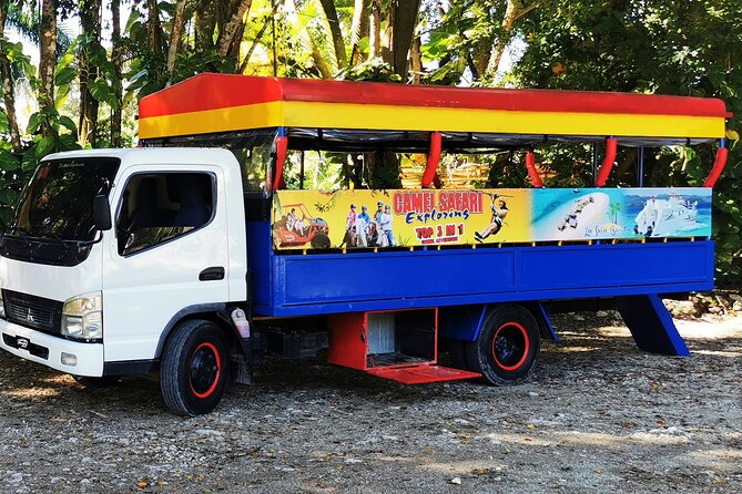 Dominican FLAVOR & COUNTRYSIDE SAFARI Pick-up Included - Accessibility Details