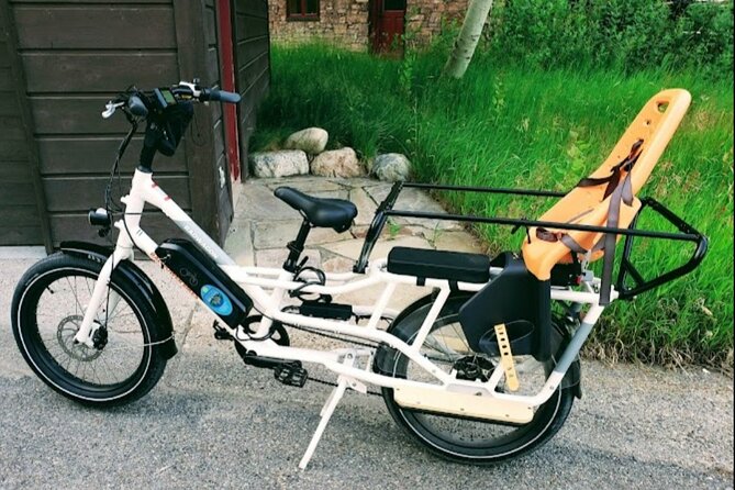 Door2door E-Bike Delivery-Ride the Most Scenic Routes in Jackson Hole and Gtnp. - Customer Experiences and Reviews
