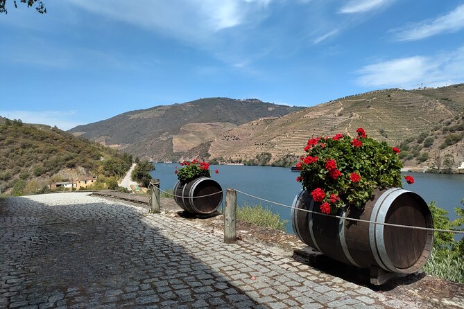Douro Valley Full Experience With Limited Small Group - Informative Wine Tasting Experience