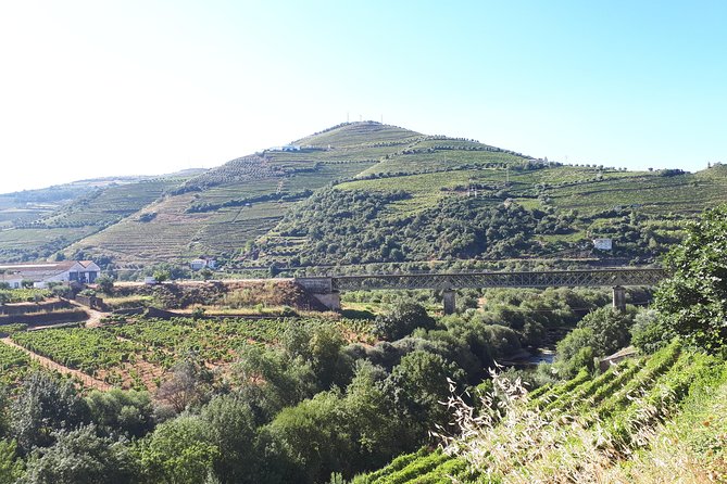 Douro Valley Tour (wine & Food) - Certified Clean & Safe Company
