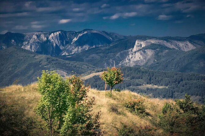 Draculas Castle, Peles, Brasov: Private Tour From Bucharest  - Otopeni - Private Tour of Brasov