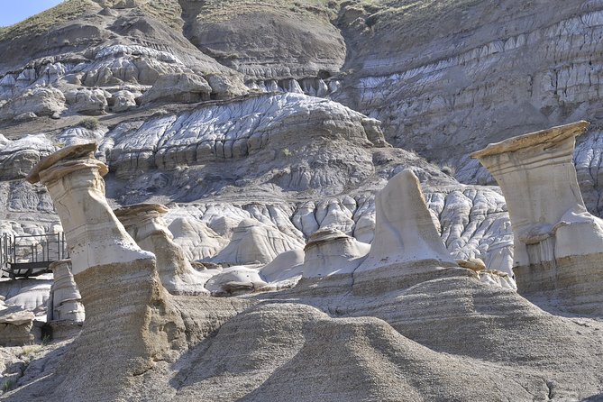 Drumheller (Dinosaur Valley) & Horseshoe Canyon 1-Day Tour - Accessibility and Recommendations