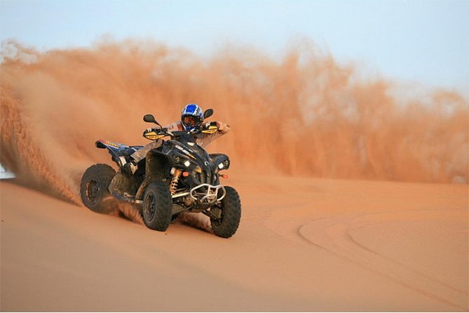 Dubai Afternoon Desert Safari and BBQ Dinner - Highlights of the Safari Adventure