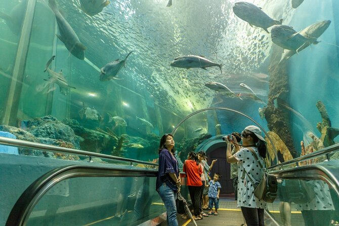 Dubai Aquarium and Underwater Zoo Ticket - Highlighting Aquarium Treasures