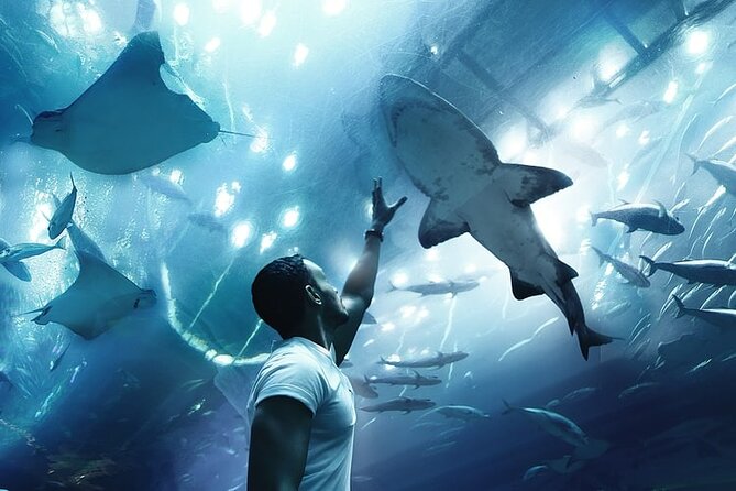 Dubai Aquarium And Underwater Zoo Tickets At Dubai Mall - Age Restrictions and Accessibility