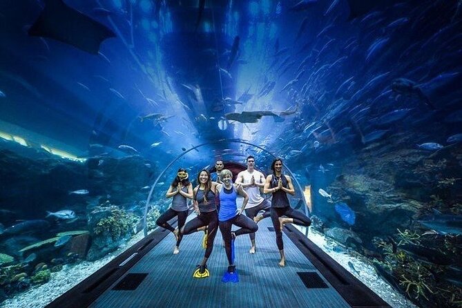 Dubai Aquarium and Underwater Zoo With Penguin Cove Tickets. - Booking Process