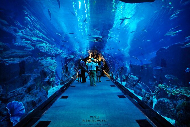 Dubai Aquarium & Underwater Zoo With Penguin Cove - Accessibility and Visitor Convenience