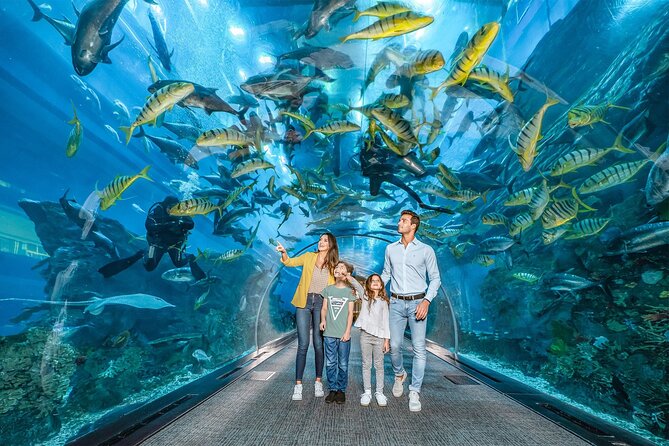 Dubai Aquarium With Various Animal Encounter and Access Options - Unique Animal Encounters