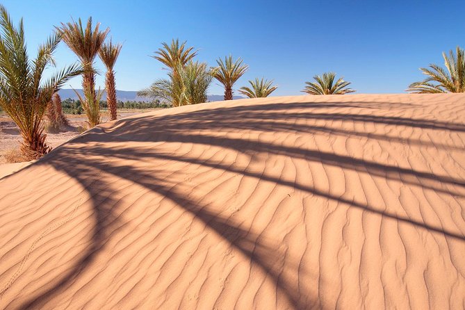 Dubai Red Dunes Desert Safari Adventure - Booking and Cancellation Policy