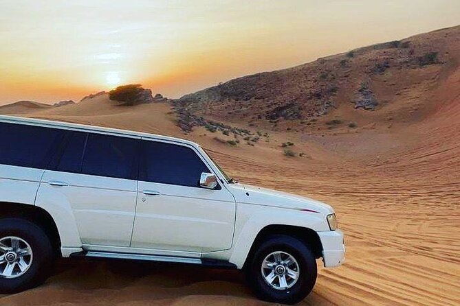 Dubai: Safari With Live BBQ Dinner, Camel Ride ,Live Performances - Additional Options
