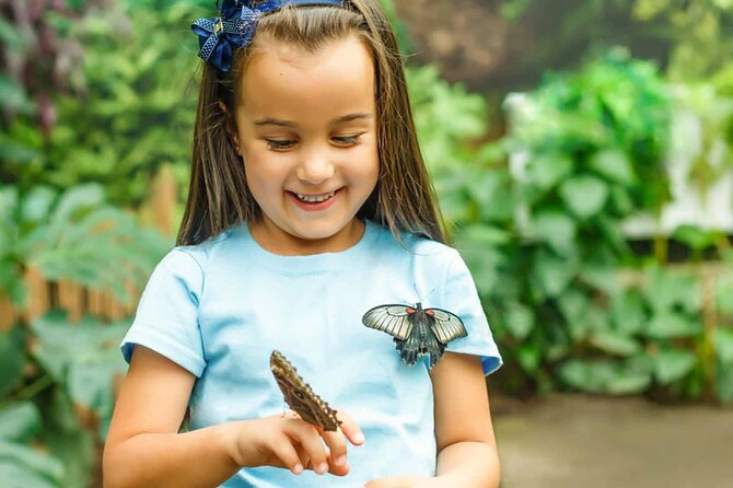 Dubai: Skip-The-Line Ticket to Butterfly Garden - Visitor Experience and Highlights