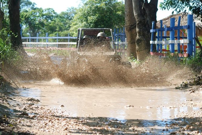 Dune Buggy & River Cave Tour - Buggy Options