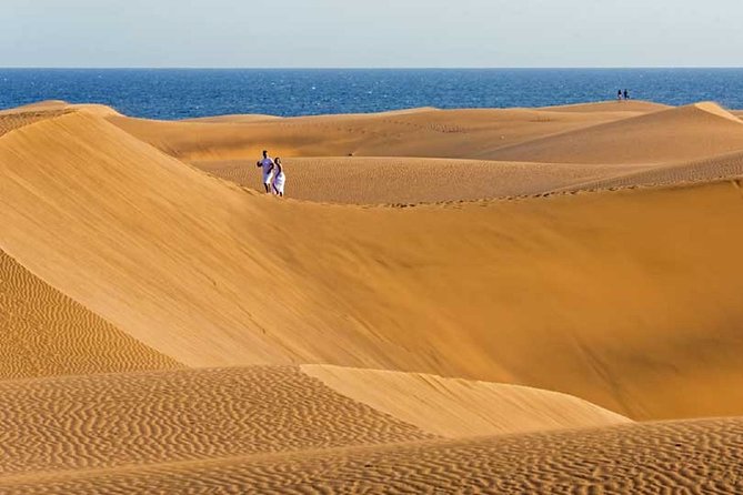 E-Bike City Tour Optional Camel Safari on the Maspalomas Dunes - Pricing and Optional Camel Safari