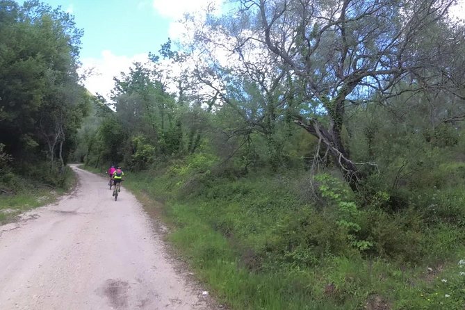 E-Mtb Tour - Analipsis Area [42km - 26mi] - E-Bike Specifications